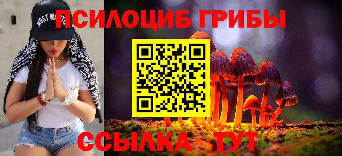 Медногорск  Галлюциногенные грибы мухоморы  цена наркотик  Вход с VPN 