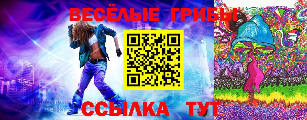 Галлюциногенные грибы Psilocybine cubensis Медногорск